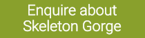 enquire-skeleton